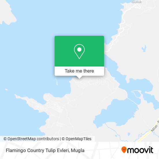 Flamingo Country Tulip Evleri map