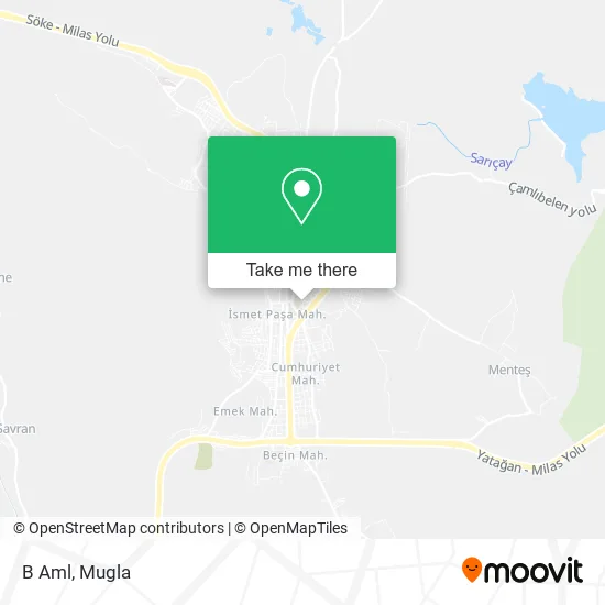 B Aml map