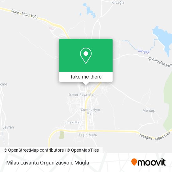 Milas Lavanta Organizasyon map