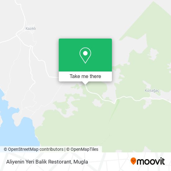 Aliyenin Yeri Balik Restorant map