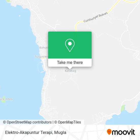 Elektro-Akapuntur Terapi map