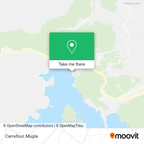 Carrefour map