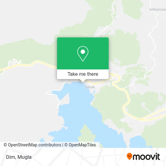 Dim map