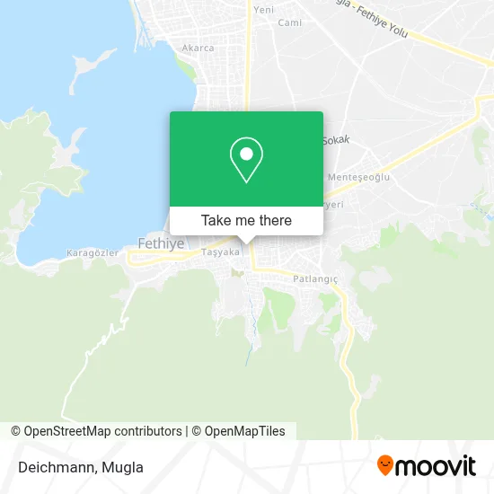 Deichmann map