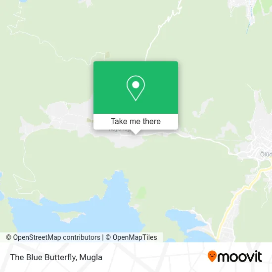 The Blue Butterfly map