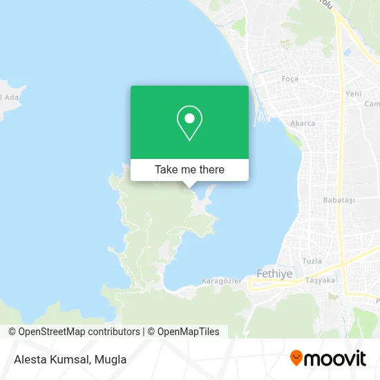 Alesta Kumsal map