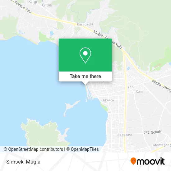 Simsek map