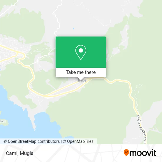 Cami map