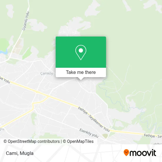 Cami map