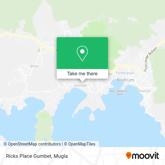 Ricks Place Gumbet map