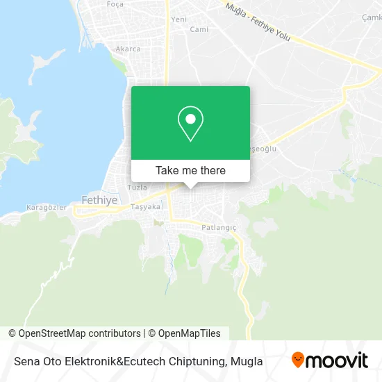 Sena Oto Elektronik&Ecutech Chiptuning map