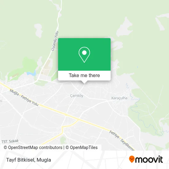Tayf Bitkisel map