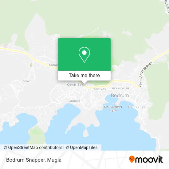 Bodrum Snapper map