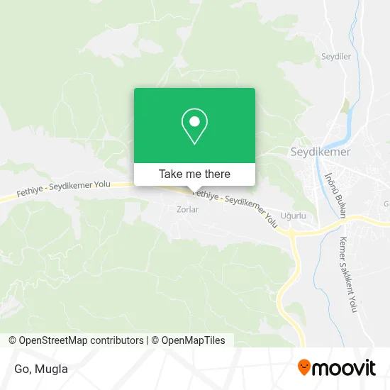 Go map