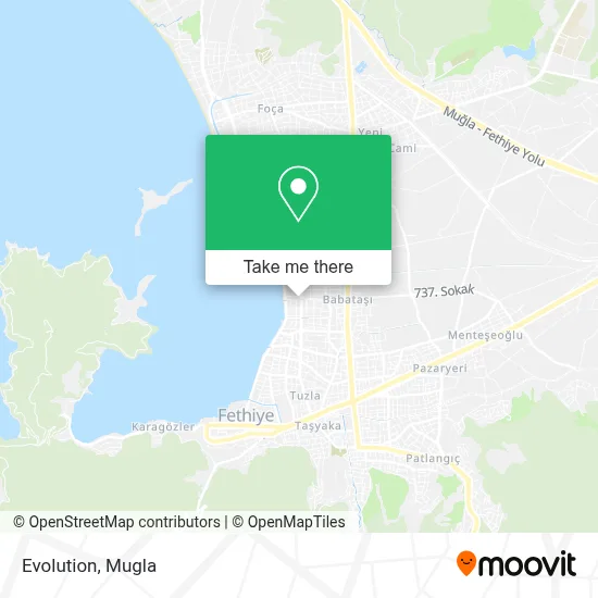 Evolution map