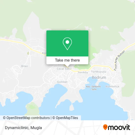Dynamiclinic map