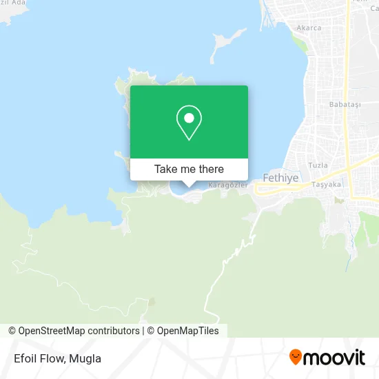 Efoil Flow map