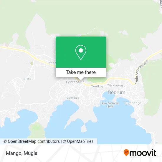 Mango map