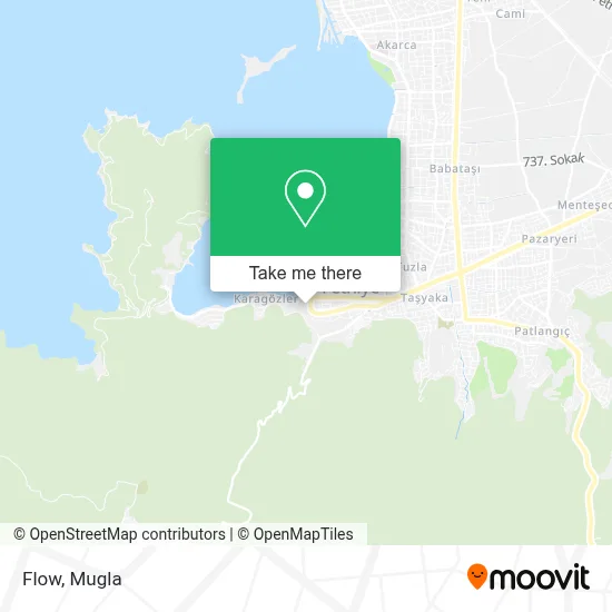 Flow map