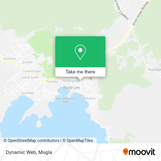 Dynamic Web map