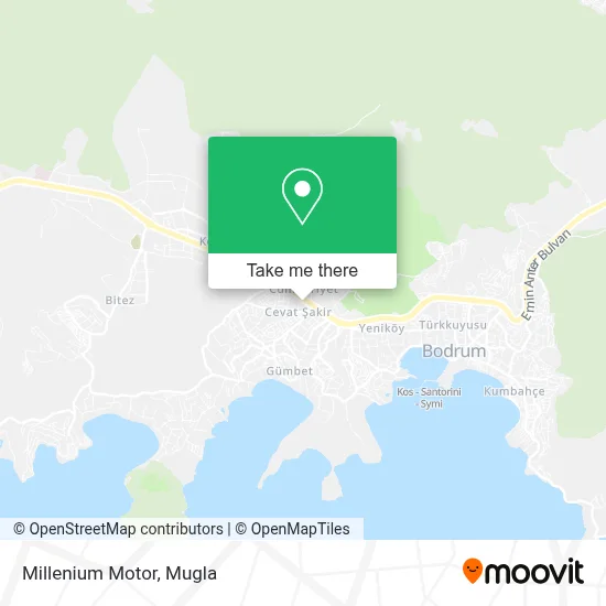 Millenium Motor map