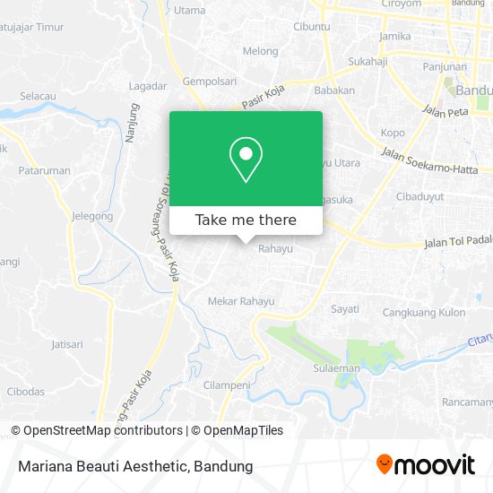 Mariana Beauti Aesthetic map