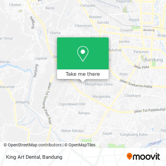 King Art Dental map