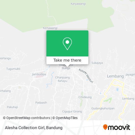 Alesha Collection Girl map