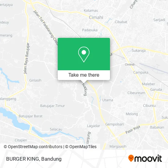 BURGER KING map