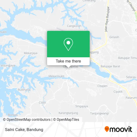 Salni Cake map