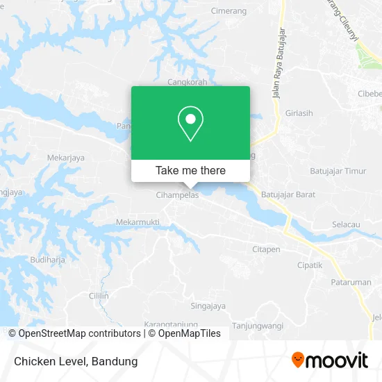 Chicken Level map