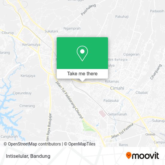 Intiselular map