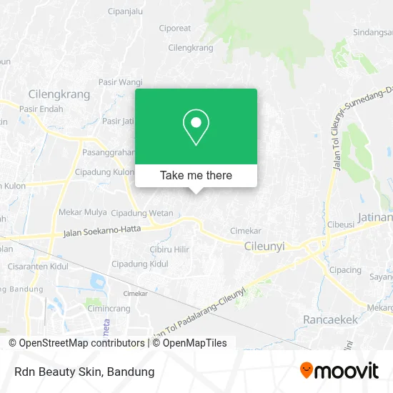 Rdn Beauty Skin map