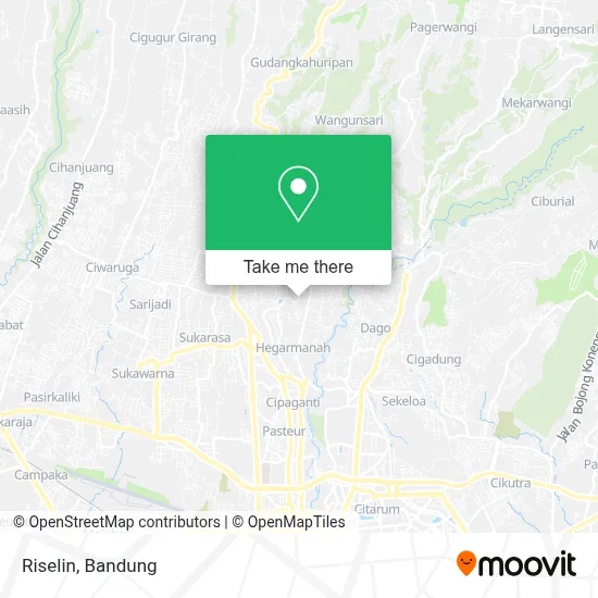 Riselin map