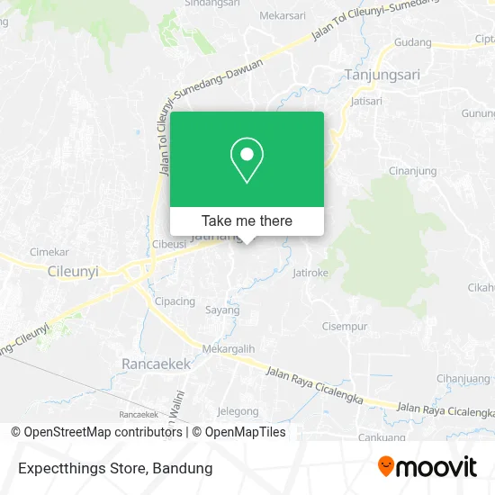 Expectthings Store map