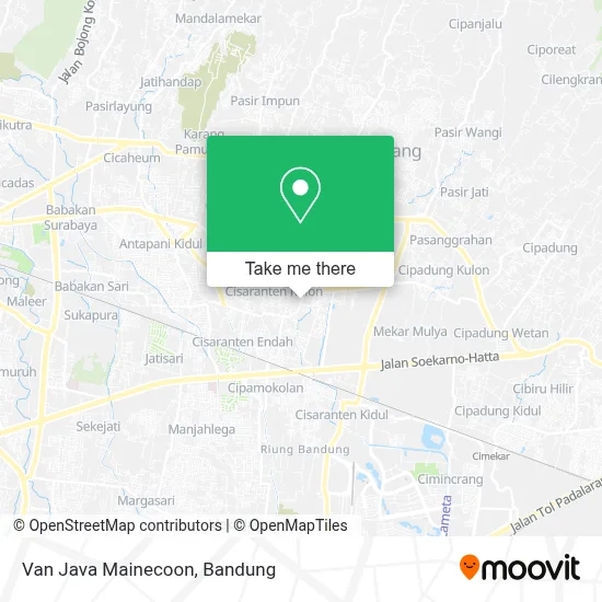 Van Java Mainecoon map