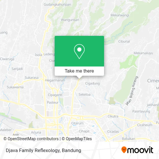 Djava Family Reflexology map