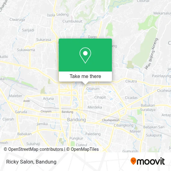 Ricky Salon map