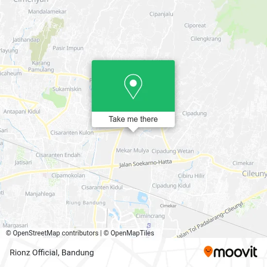 Rionz Official map