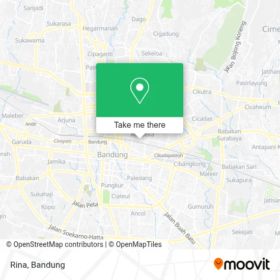 Rina map