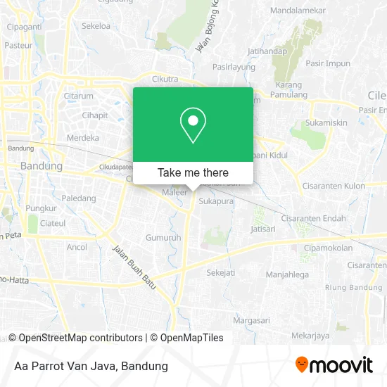 Aa Parrot Van Java map