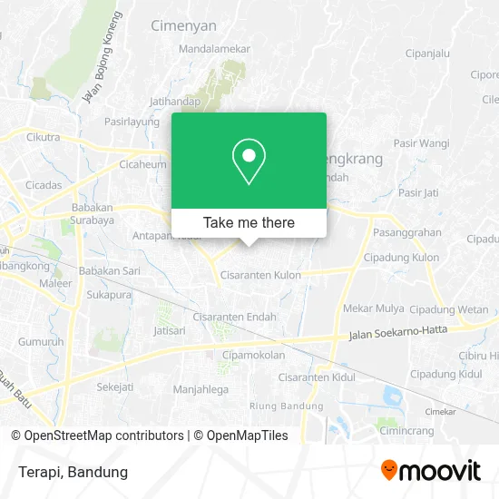 Terapi map