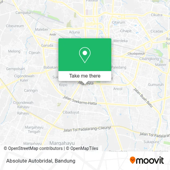 Absolute Autobridal map