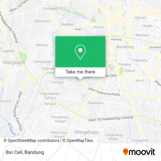Bsi Cell map