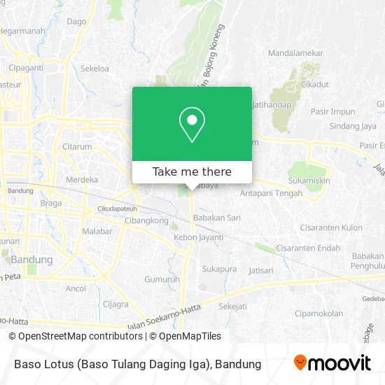 Baso Lotus (Baso Tulang Daging Iga) map