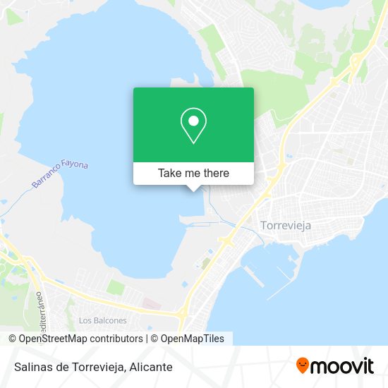 Salinas de Torrevieja map