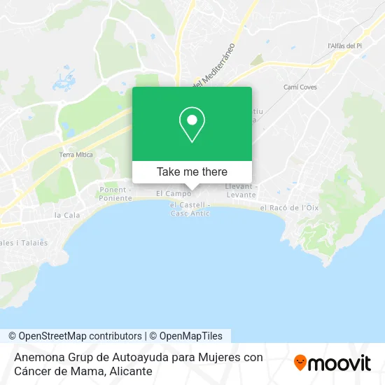 Anemona Grup de Autoayuda para Mujeres con Cáncer de Mama map