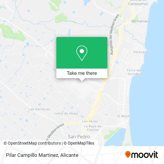 Pilar Campillo Martinez map