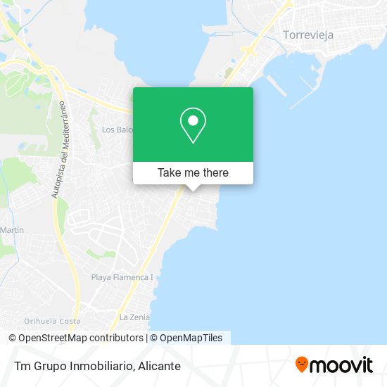 Tm Grupo Inmobiliario map