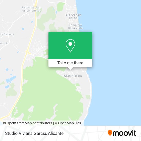 Studio Viviana García map